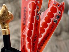 -和禄德冰糖葫芦