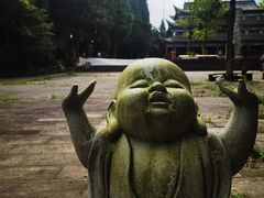-武陵山森林公园