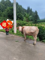 -贝爱时刻月子中心(宝安妇幼店)