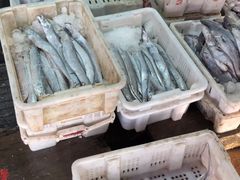 -芦潮港集贸市场