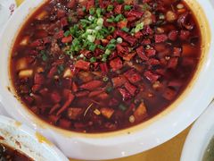 -胖大姐黄辣丁鱼庄(新津店)