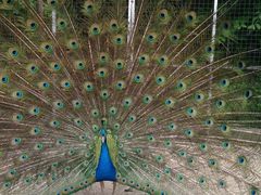 -昆嵛山石门里景区