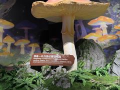 -厦门诚毅自然探索馆