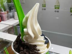 -Salud撒露欧洲冻酸奶(北苑上品店)