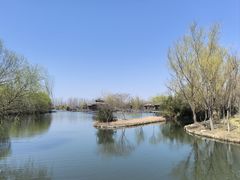 -溱湖国家湿地公园