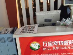 -创凡宠物医院·骨专科  猫科中心(西乡分院)