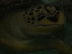 -福州罗源湾海洋世界旅游区