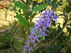 -侯臣咖啡文化村