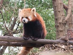 -常州淹城野生动物世界