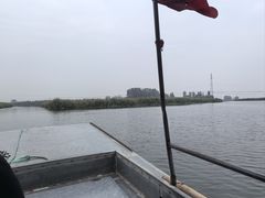 -白洋淀景区