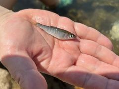 -楠溪江风景名胜区