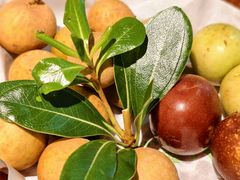 -季季山·云南野生菌火锅(上海首店)