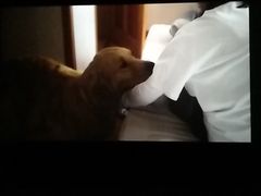 -金逸影城(明发IMAX店)