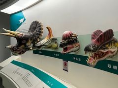 -安徽省地质博物馆