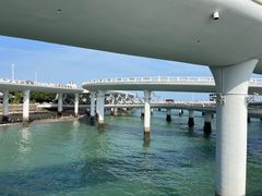 -演武大桥观景平台