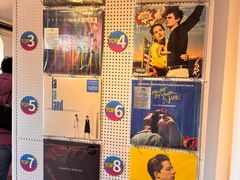 -树懒黑胶唱片店(中山路店)