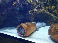 -南昌融创海世界