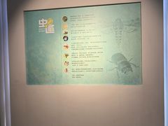 -烟台市博物馆