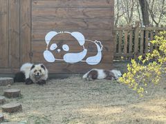 -茅山东方盐湖城景区