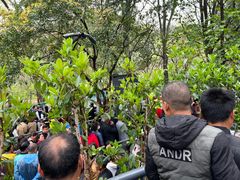 -韶山毛泽东同志故居