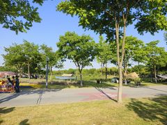 -贡湖湾湿地公园