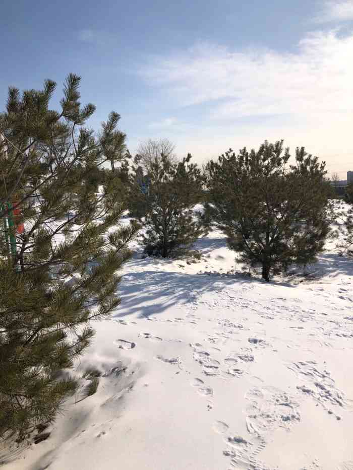 绿洲水乡养生园冰雪乐园