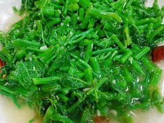 炒洋丝瓜尖-学成饭店(官南大道店)