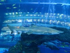 -成都浩海立方海洋公园