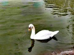 -杭州野生动物世界