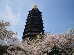 -红梅公园