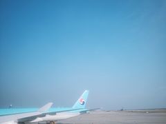 -乐天免税店(明洞店)