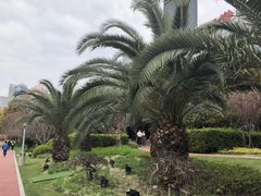 -北外滩滨江绿地