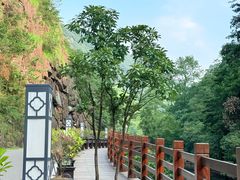 -花溪风景区