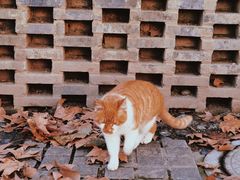 -T80科技文化国际社区-停车场