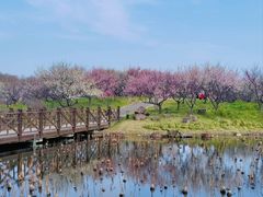 -上海海湾国家森林公园