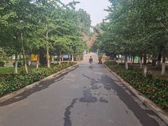 -长白岛森林公园