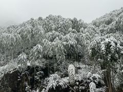 -安吉龙王山风景区