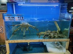 -202特色排档(五缘湾店)
