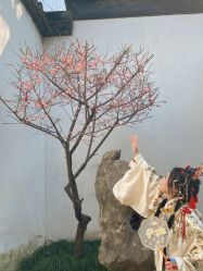 -一揽芳华汉服旗袍体验馆(拙政园店)