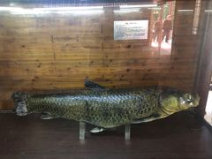 -南京金牛湖风景区