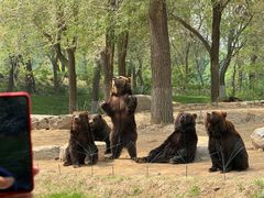 -北京野生动物园
