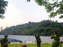 -野狸岛