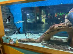 -顺德南宏海立方海洋公园