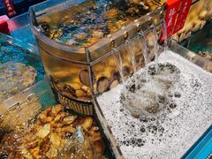 -禄婶鸡煲·打边炉