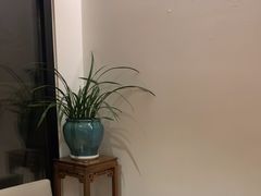 -荷风细雨·中国茶宴(碧云店)