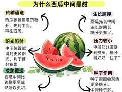 -古力古利托育早教中心(澳门路校区)