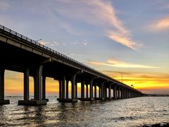 -宝安西湾红树林湿地公园