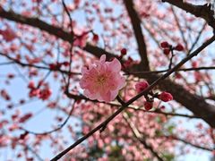 -天鹅湖体育公园