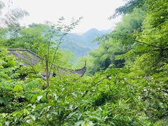 -藏龙百瀑风景区