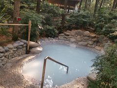 -金方森林温泉